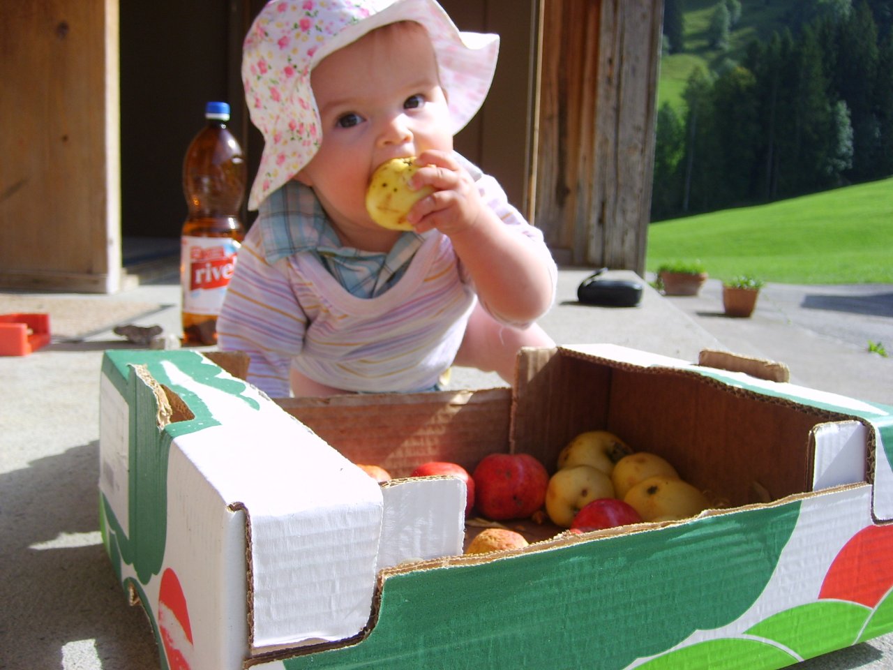 kleines Kind beisst in einen Apfel