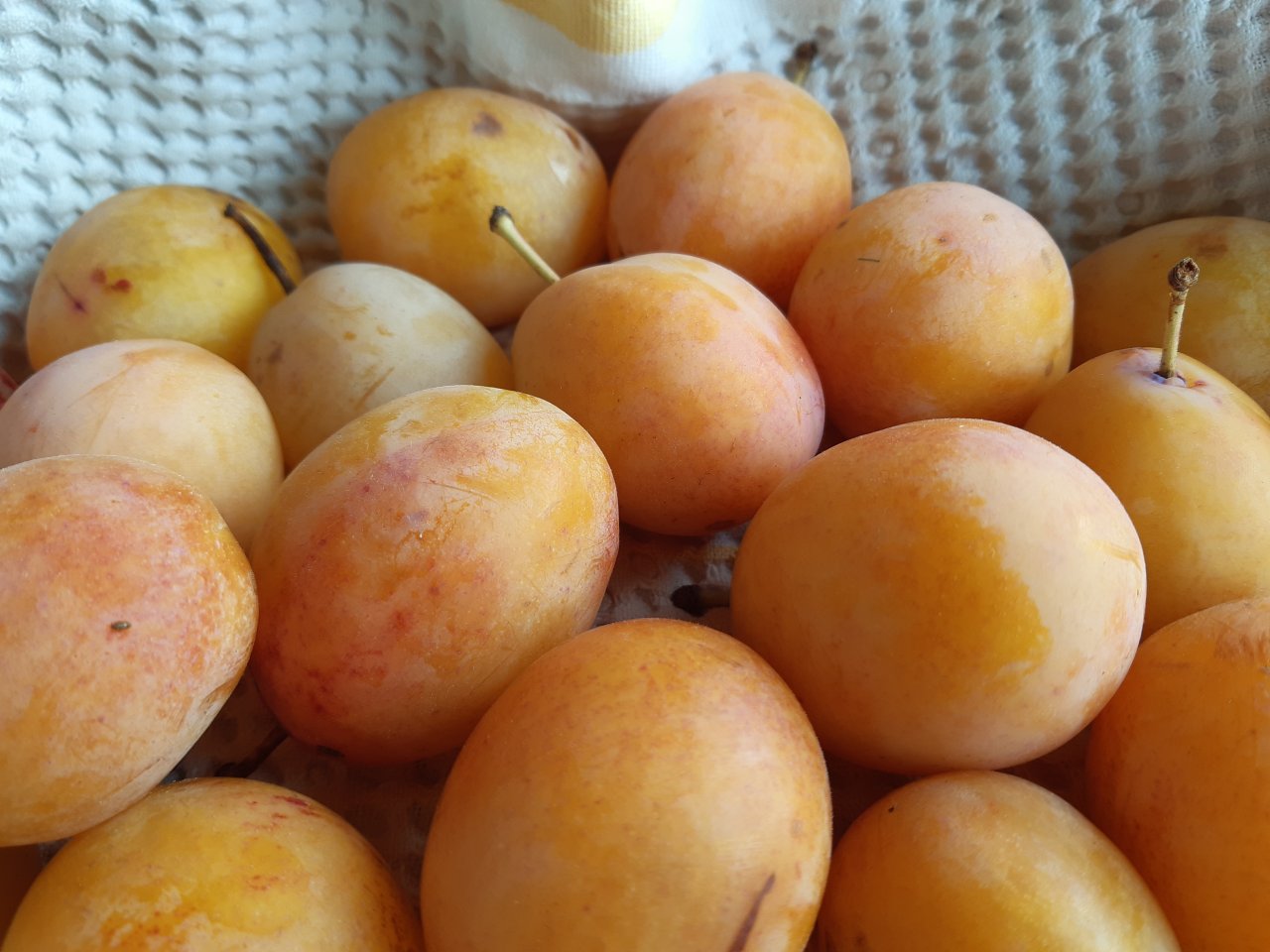 Obst in voller Reife...