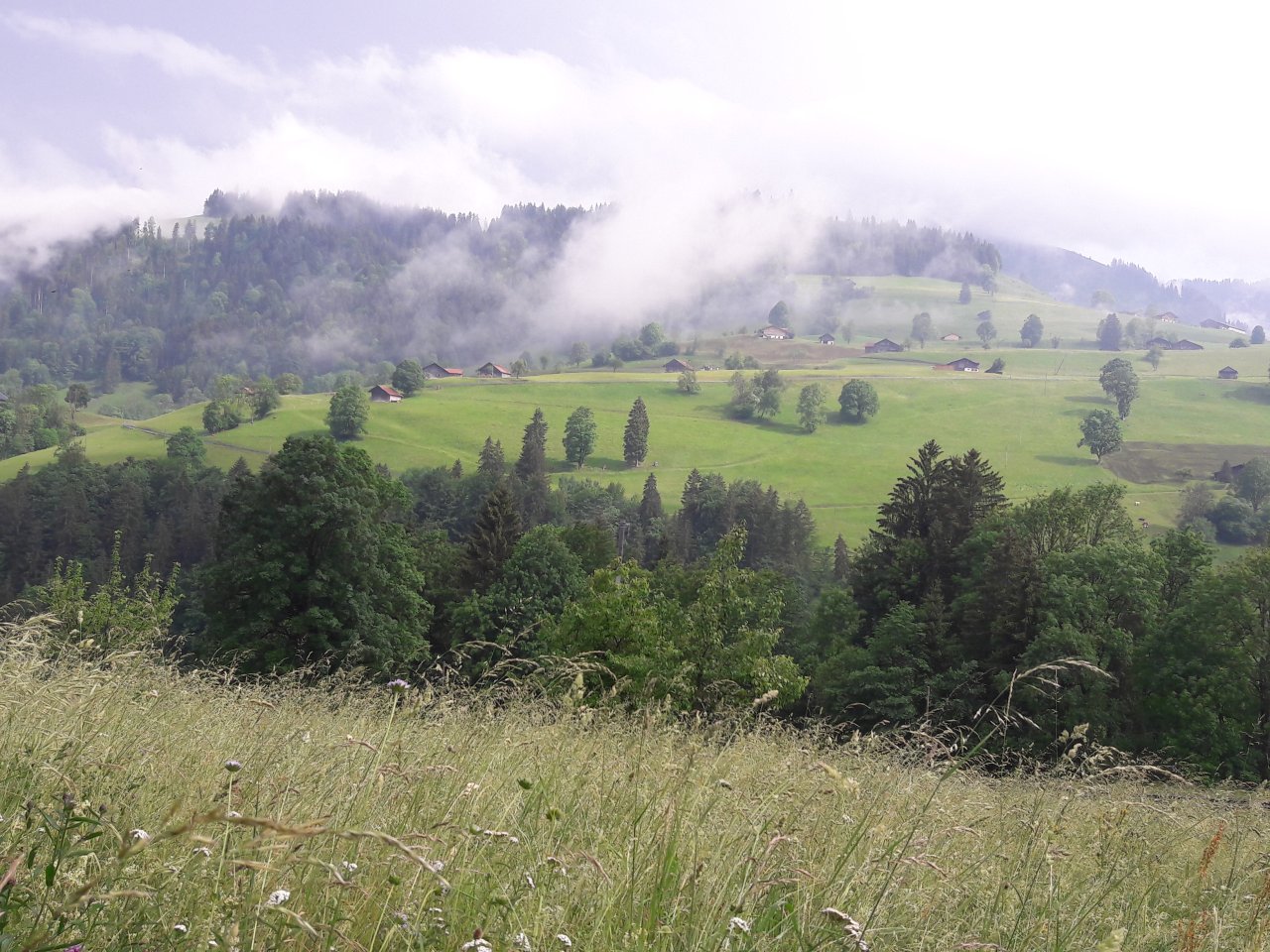 Mitten im Simmental:  der Rossberg von der anderen Talseite aus