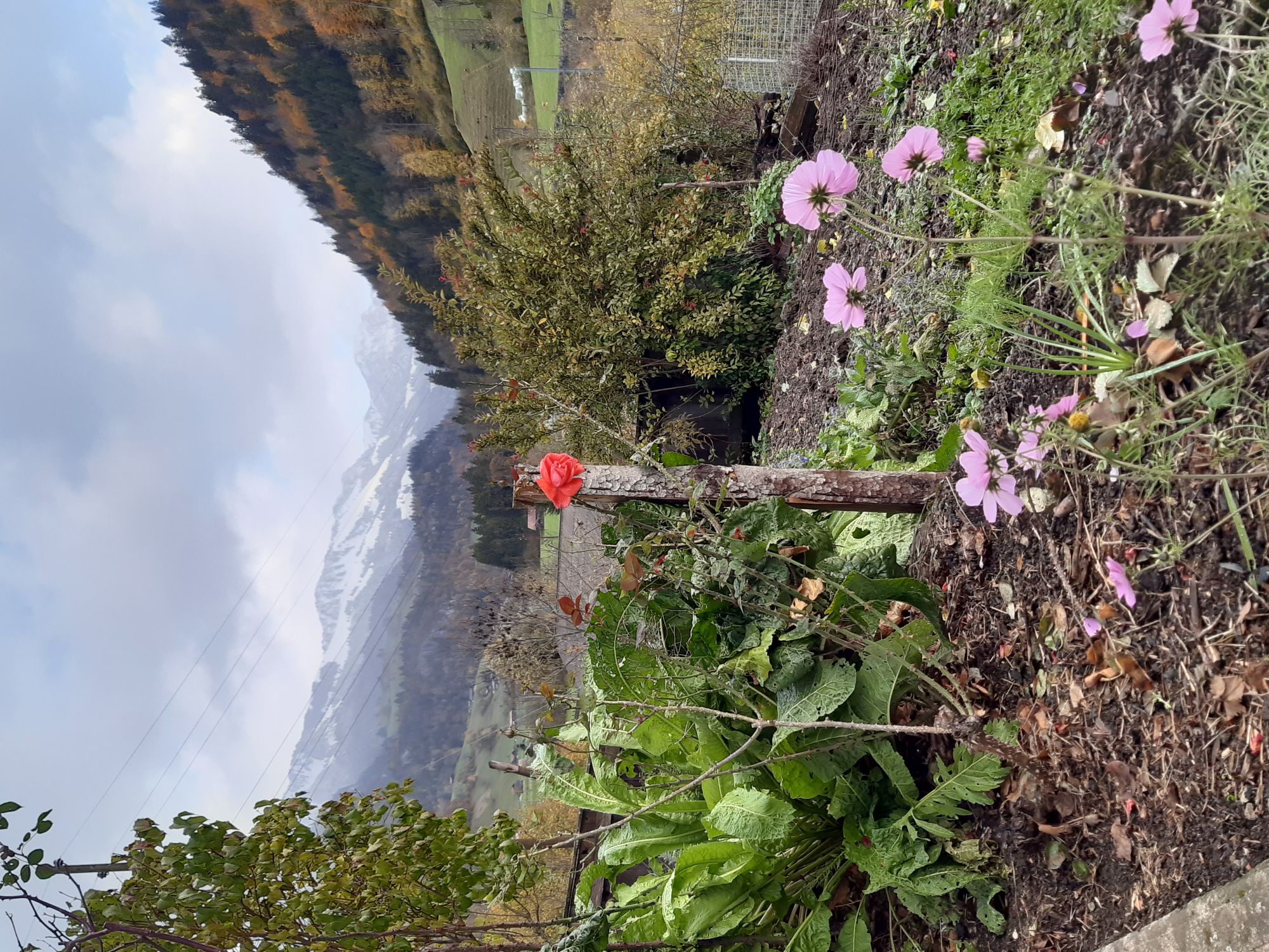 luzias-garten-osten-web